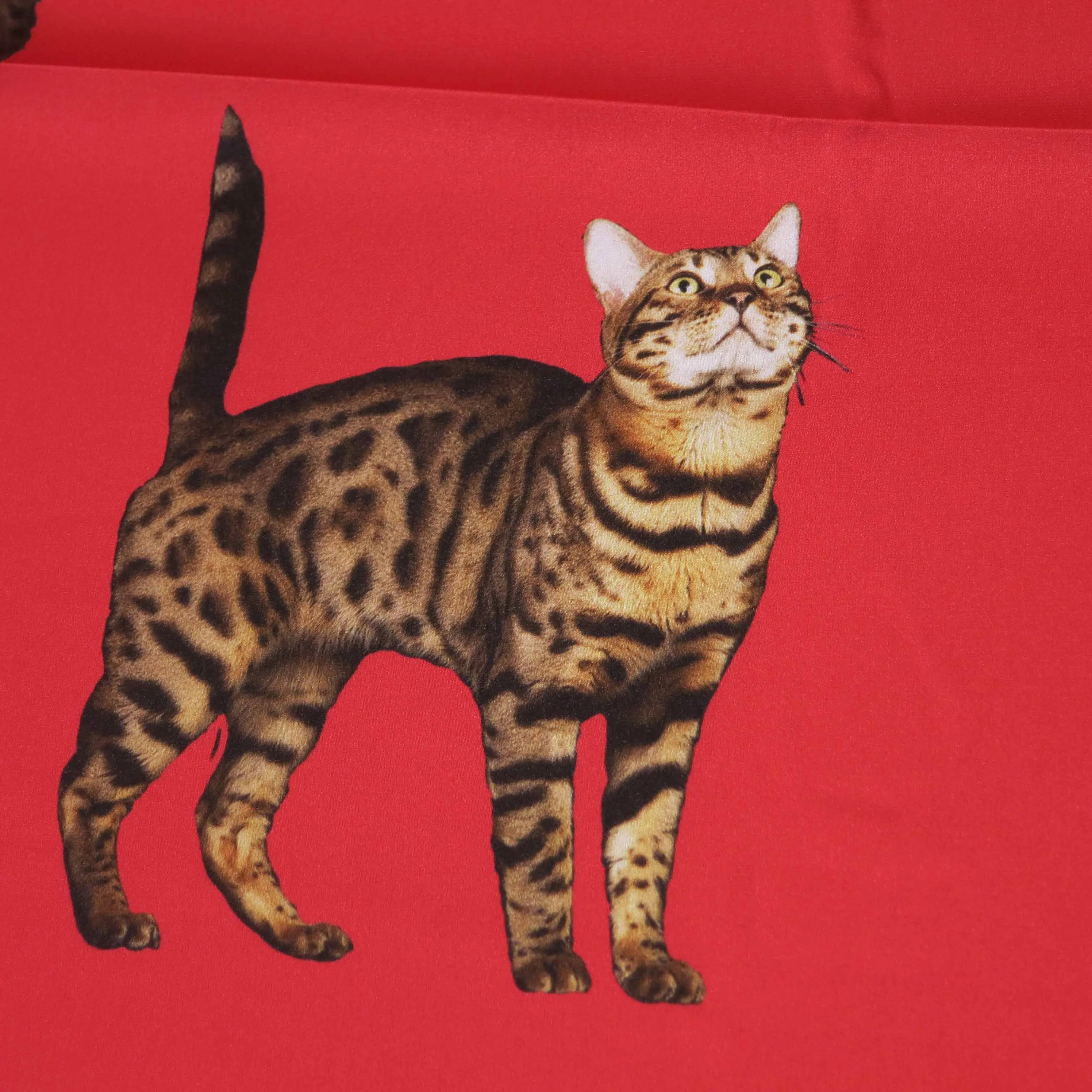 Jasper Cats Printed Silk