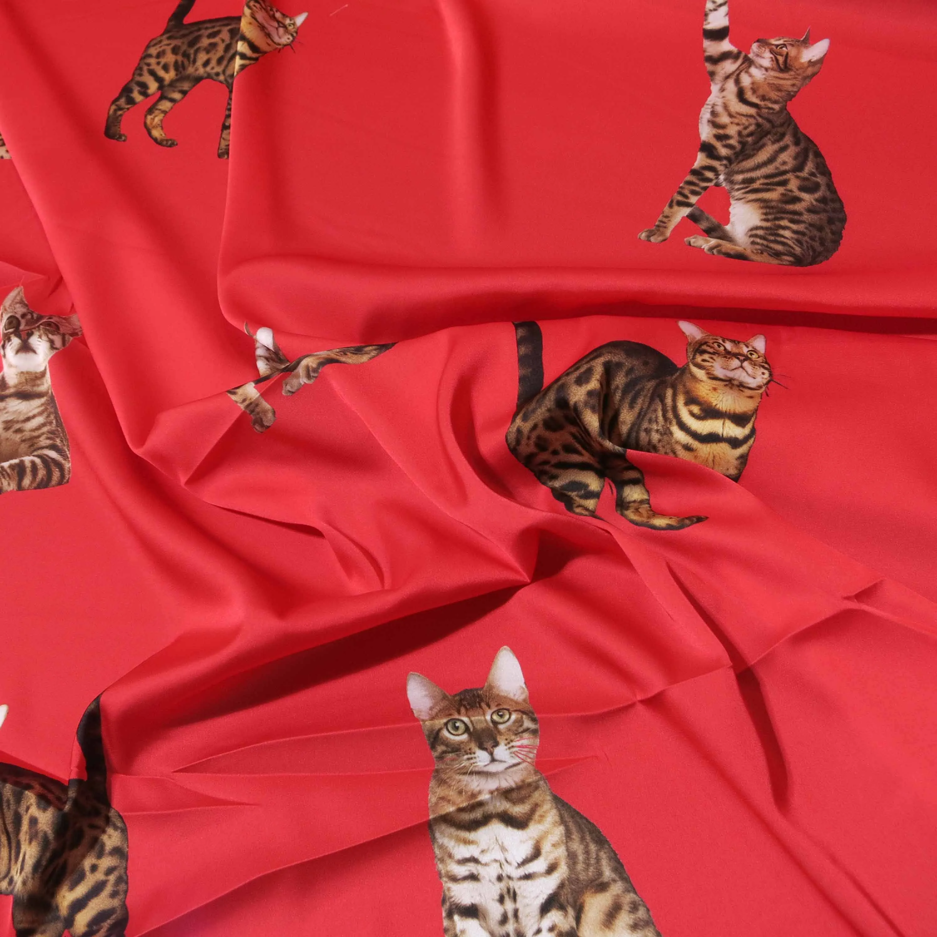 Jasper Cats Printed Silk